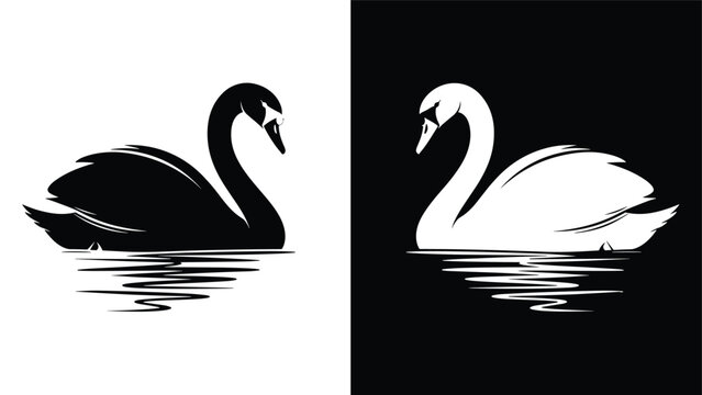 Striking artistic contrast featuring a black swan and a white swan facing each other on water in a split black and white frame.