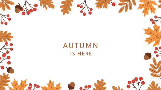Seasonal fall background design with a perimeter of orange maple leaves, acorns, and red berries around a white space for messages.