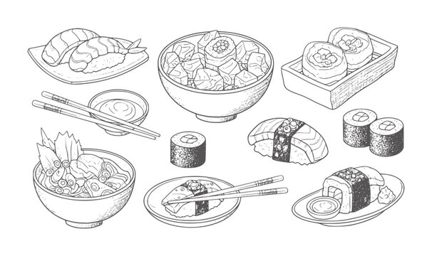 Hand drawn of various sushi dishes and chopsticks white sashimi salmon rice