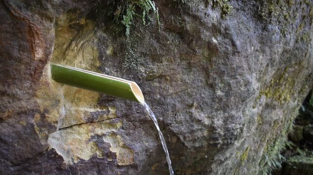 Natural water from Rock dripping and being collected through a bamboo outlet