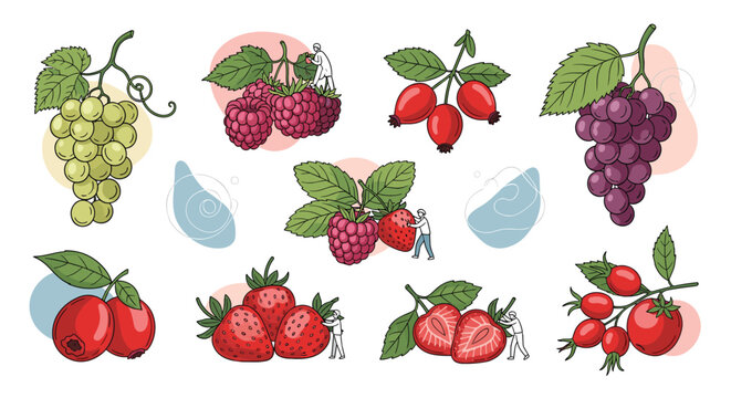 Collection of assorted berries and fruits including grapes, strawberries, and raspberries with tiny human figures.