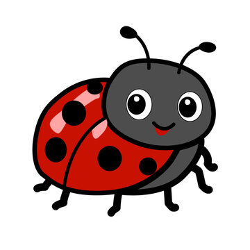 cute ladybug cartoon character