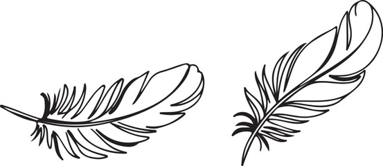 Black feather illustration set © NasimaAktar