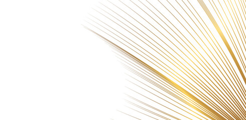 gold abstract lines radiating from corner on transparent background vector graphic element © Provir