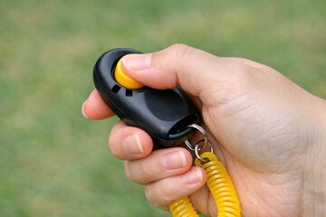 Fototapeta premium A person holding a yellow and black radio, ideal for use as a symbol of communication or technology
