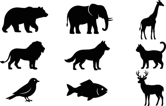 Black silhouettes of various animals, including bear, elephant, and deer, against a white background in a graphic illustration.