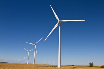 Fototapeta premium 63895-14101 Windmills, Tazewell Co., IL