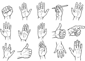 Fototapeta premium Collection of hand drawn sketches depicting various human hand gestures and poses on a white background