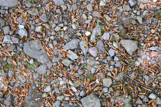 Texture of rocky road, ground, close-up..