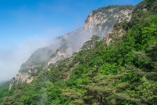 설악산 국립공원 장수대지구 풍경, Scenery of Jangsu-dae district of Seoraksan National Park