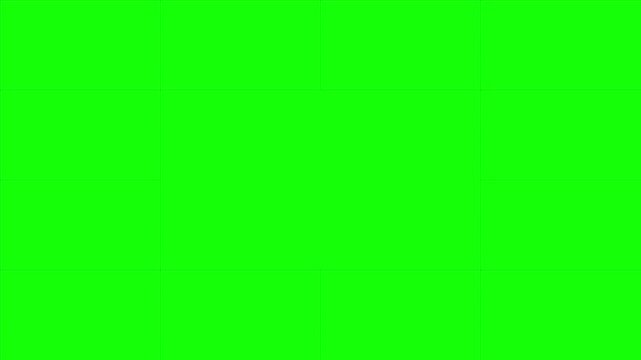 Green screen provides a completely uniform and bright chroma surface intended for professional video production and digital masking applications where subjects need to be extracted from backgrounds.