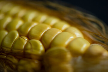 Close-up of fresh corn photo © Rawpixel.com