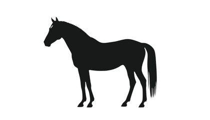 Fototapeta premium Horse silhouette stands majestically in profile against a clean white background to provide a striking visual representation of equine power and grace for various design projects and artistic layouts.