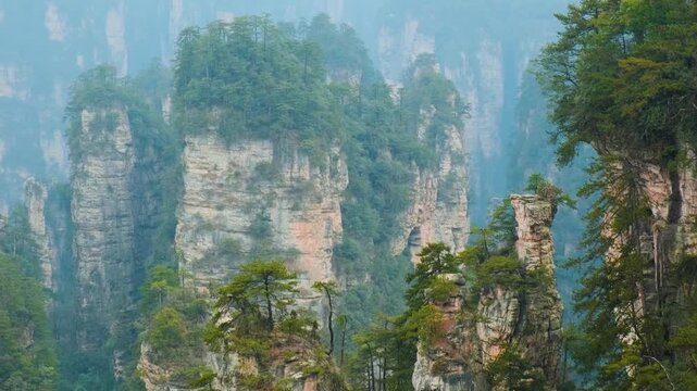 Sandstone pillar with pine trees rising among rock formations in Zhangjiajie National Forest Park foggy landscape, Hunan, China. Travel and tourism landmark in Asia