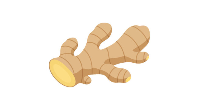 A realistic illustration of a fresh ginger root with its skin partially peeled, showcasing its fibrous texture and light brown color, isolated on a white background