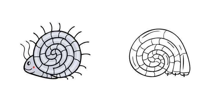 Cartoon Ammonite and Outline Fossil Shell with Spikes and Tentacles