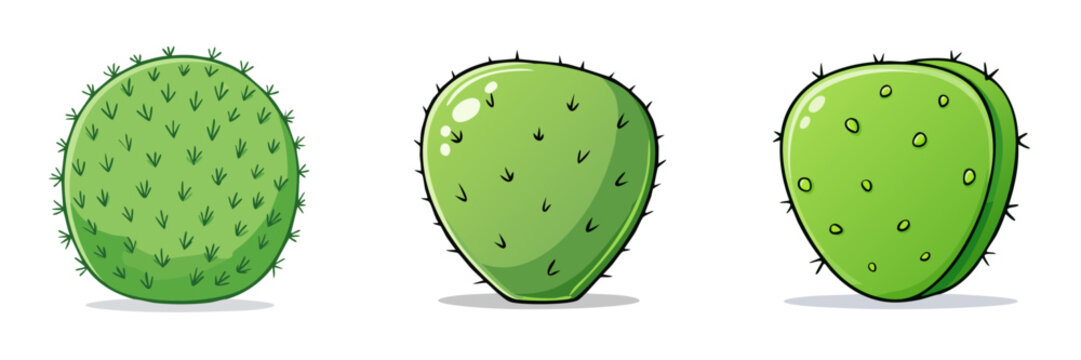Set of cartoon prickly pear cactus pads and round cactus shapes with spines