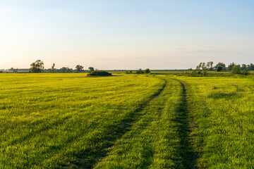 Fototapeta premium Rural road running through field with lush green grass in early morning light. Peaceful countryside landscape, agriculture, nature, travel and scenic outdoor concept.