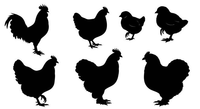 An intricate array of monochrome silhouettes featuring diverse domestic fowl such as roosters, hens, and chicks, suitable for farm-themed designs and educational materials