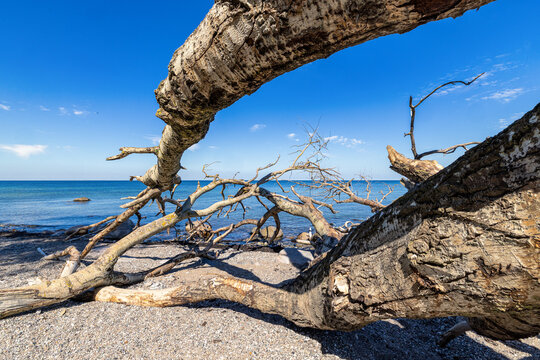 Ostsee