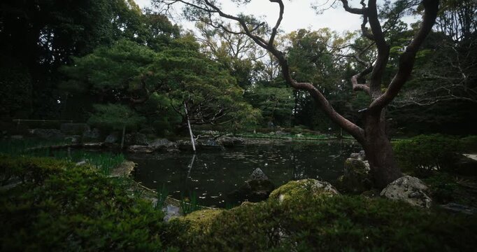 Moss, trees, and bushes surrounding still pond in Japan