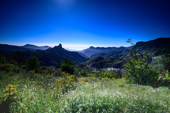 mountain landscape with flowers