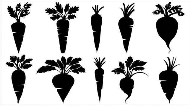Collection of ten distinct root vegetable silhouettes displayed against a white background
