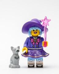Obraz premium A minifigure of a happy witch and her cat