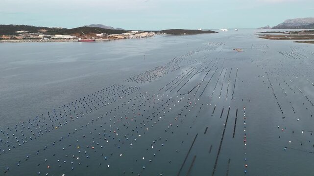 port d'Olbia en Sardaigne