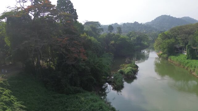 Bird's-eye view of a magnificent tropical garden plantation, scenic nature background in Sri Lanka.