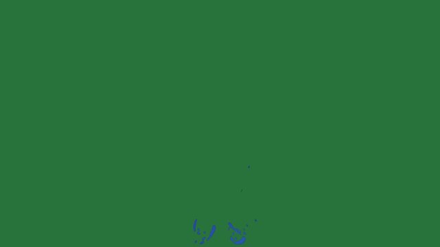 Bird screen silhouette man outline horse black face blue fish flying in the air green screen