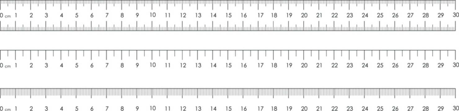 Metric ruler graduation scale indicators 30 cm vector