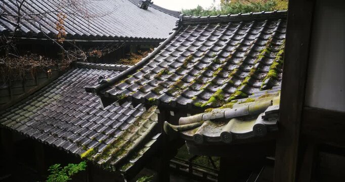 Rain falling on moss covered, ancient Japanese rooftop