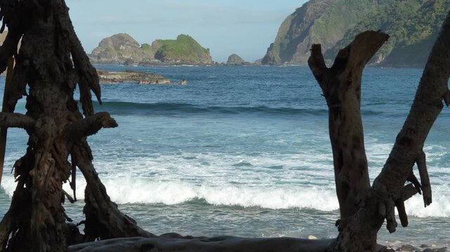 Cinematic framing of Papuma Beach, Indonesia waves through dried tree trunks with authentic sound of roaring ocean.