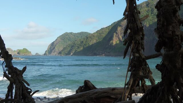 Tropical Papuma Beach view framed by rustic driftwood branches with authentic sound of rolling ocean waves. Jember, Indonesia