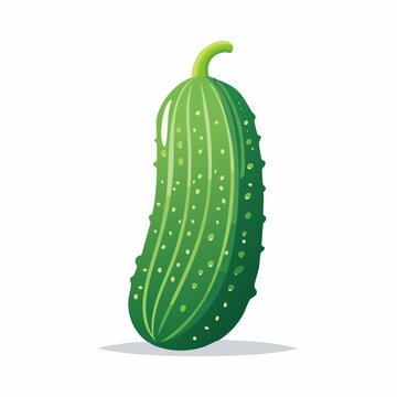Illustration of a single green cucumber with water droplets
