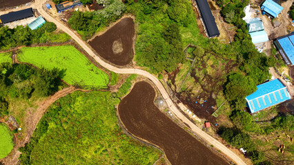 Aerial drone view of green farmland and rural landscape in Seongsan Jeju Island South Korea © 은수 조