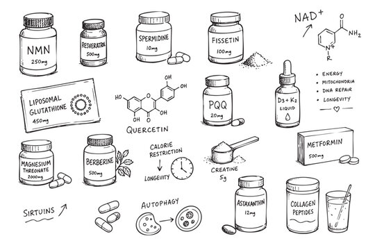 Scribble of longevity supplements, hand-drawn doodle style graphics of various drugs, creatine, peptides, collagen, proteins, vitamins and medicine for longer life and health on transparent background