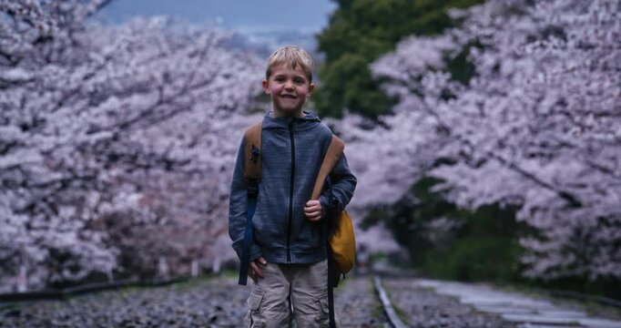 Shy little boy making funny faces as he poses and stands in front of beautiful cherry blossom trees - medium shot