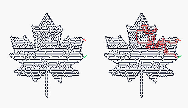 Maple leaf labyrinth design in black and red on white background  