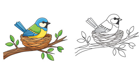 Bird in a Nest Coloring Page for Kids with Color Example Illustration, Blue Tit Sitting on Tree Branch with Leaves Vector Set for Educational Activity and Creative Hobby © SHOHAG