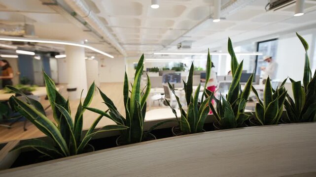 Indoor office space featuring vibrant green plants in modern planters, with employees engaged in work activities in the background, creating a lively and productive atmosphere