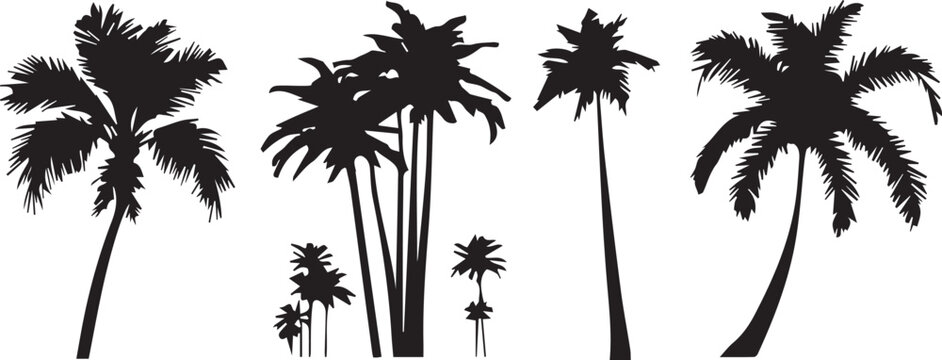 Tropical palm trees silhouette collection vector illustration