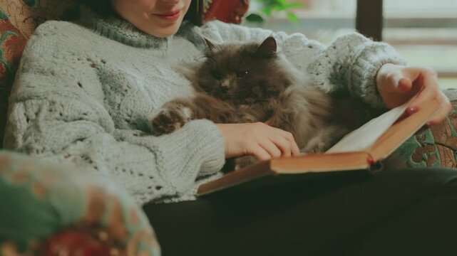 young woman with cat reading paper novel book sitting near window on armchair face cropped lips closeup. Cozy home classic interior, adult Girl enjoys hobby rest relax hand strokes fluffy gray cat pet