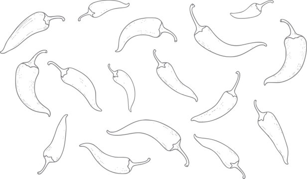 Hand-drawn chili peppers pattern on a white background