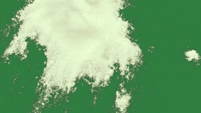 A green screen with white background and fluffy animal on powder photo cloud pile of animated chromakey background frame motion gesture figure cartoonish emotion expression composition