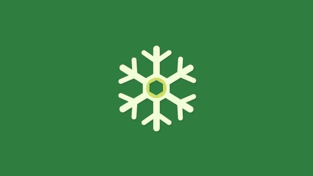 A green screen with white background and snowfl logo on icon snowflorer animated chromakey background expression creative scene style frame elements backgrounds layers composition figure