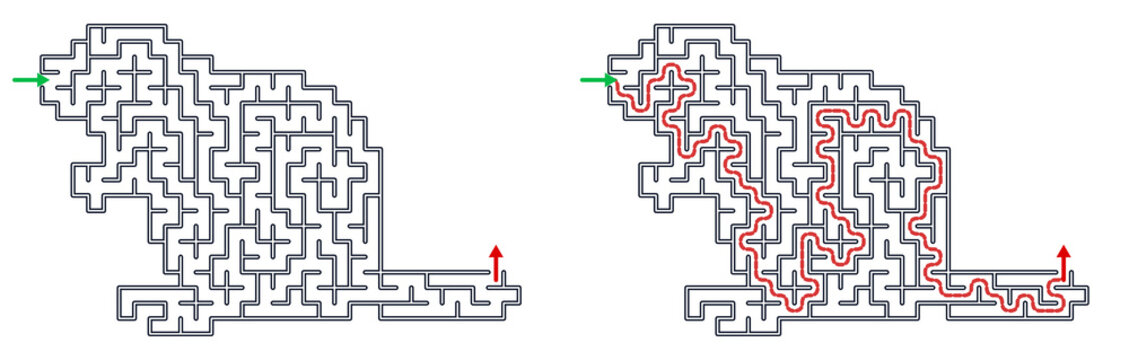 Beaver-shaped maze with red solution path and green starting point  
