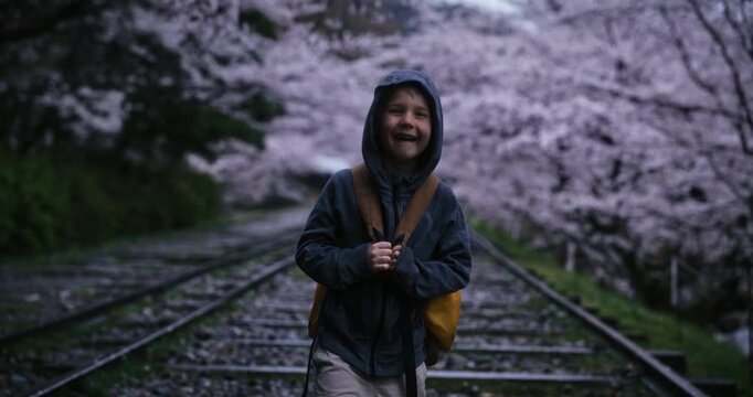 Happy little boy in hoodie looking around at beautiful spring cherry blossoms in slow motion