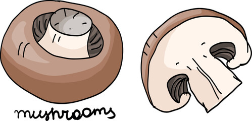 Fresh champignon mushrooms whole and cut. Hand drawn edible fungus vector icon with text. © Oksana